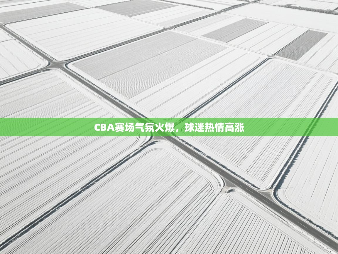 CBA赛场气氛火爆,球迷热情高涨 第1张