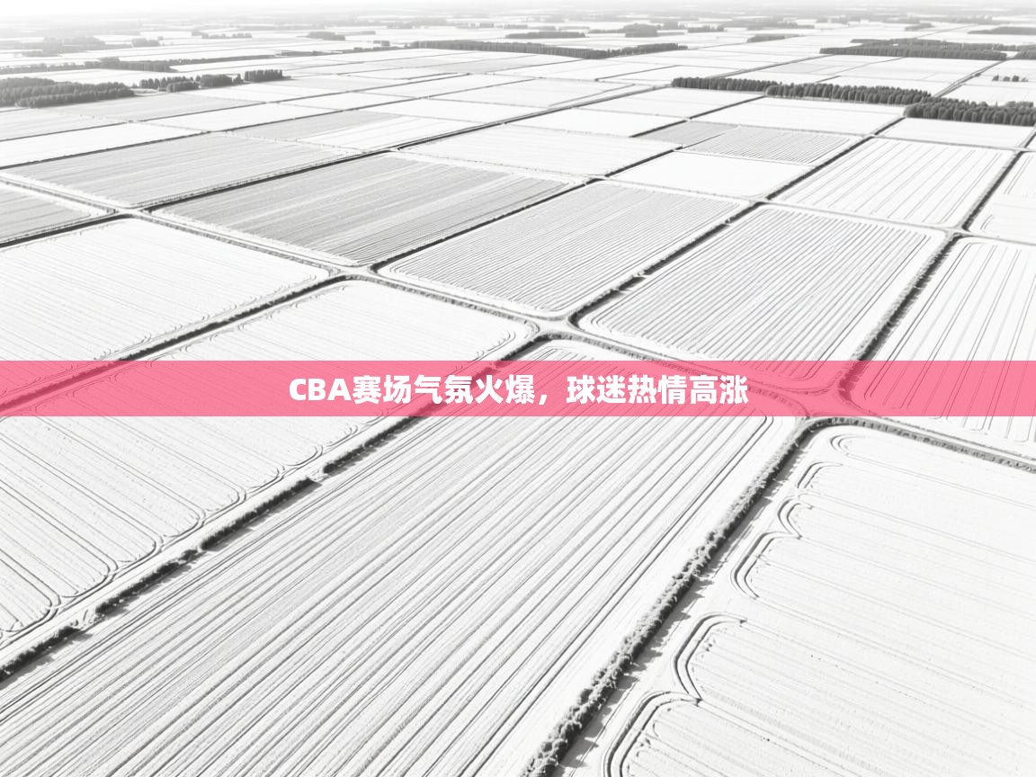 CBA赛场气氛火爆,球迷热情高涨 第2张