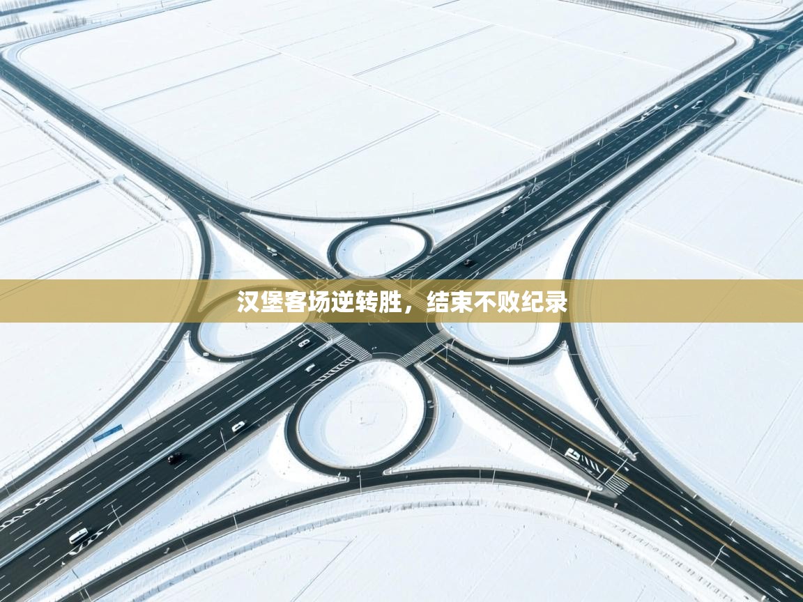 汉堡客场逆转胜，结束不败纪录  第1张