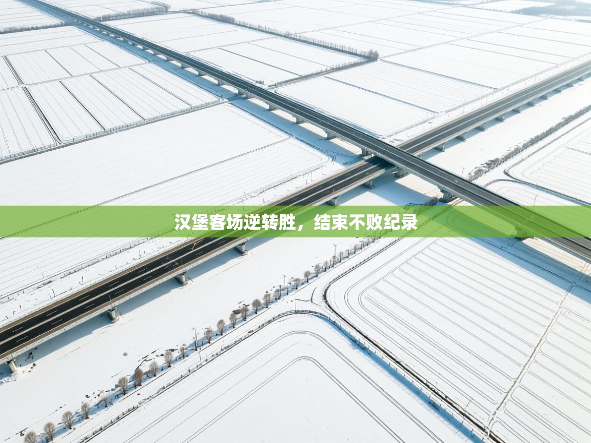 汉堡客场逆转胜，结束不败纪录  第2张