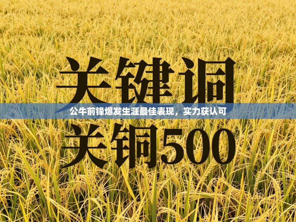 公牛前锋爆发生涯最佳表现，实力获认可  第2张