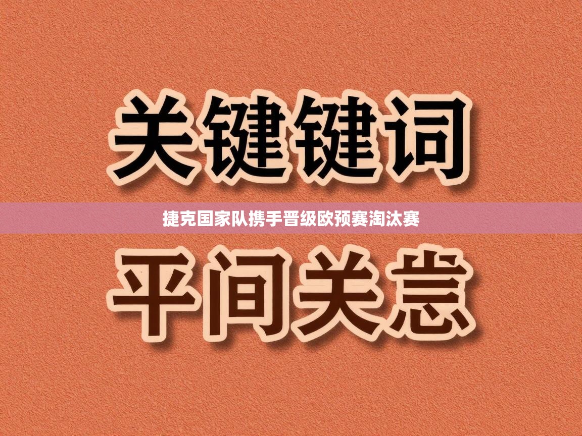捷克国家队携手晋级欧预赛淘汰赛 第1张