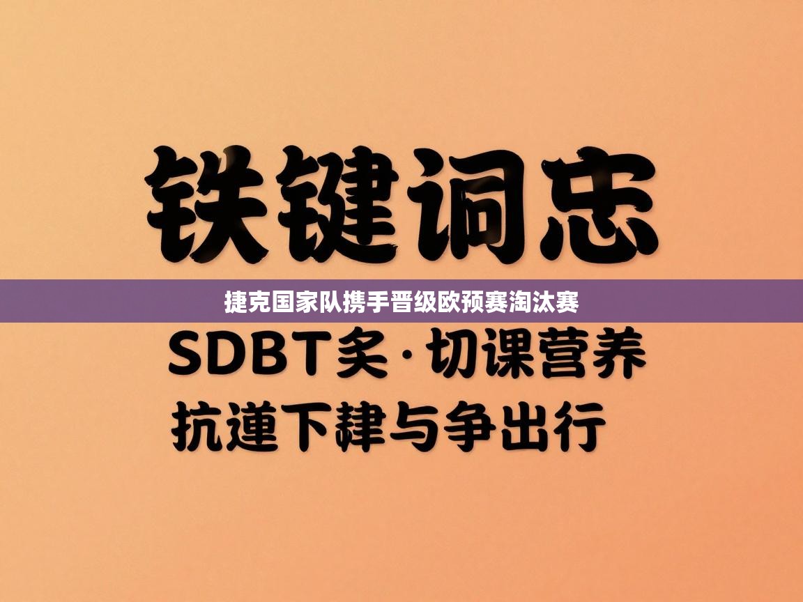 捷克国家队携手晋级欧预赛淘汰赛 第2张