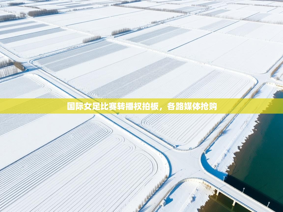 国际女足比赛转播权拍板，各路媒体抢购